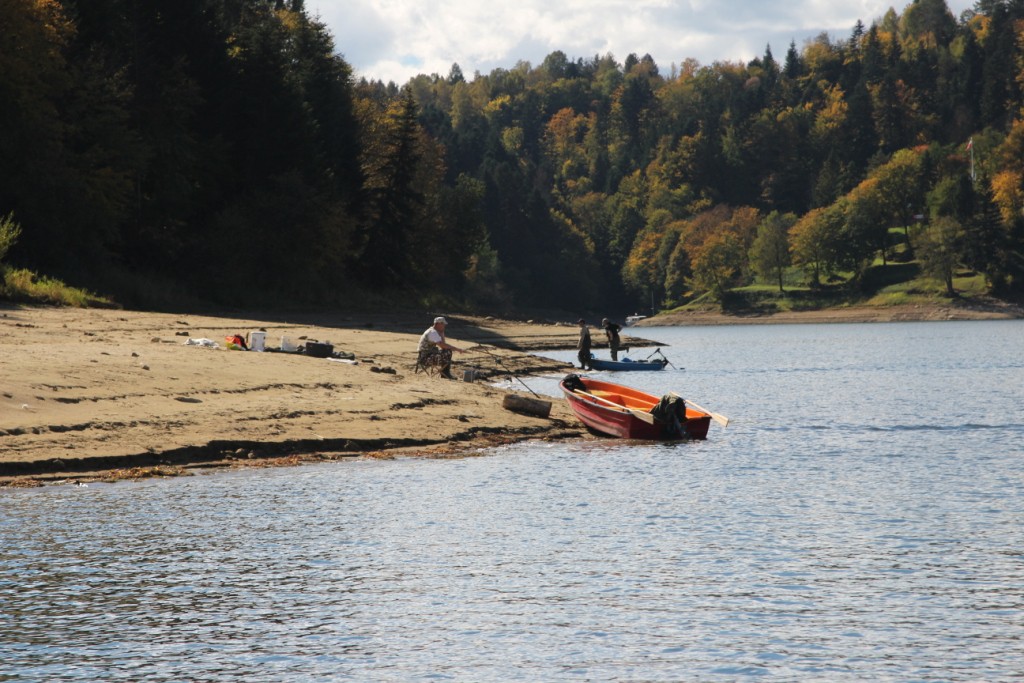 wyspa skalista